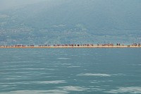 Groups of people standing on the walkway at The Floating Piers with buildings in the distance. Original public domain image from <a href="https://commons.wikimedia.org/wiki/File:People_walking_on_water_(Unsplash).jpg" target="_blank" rel="noopener noreferrer nofollow">Wikimedia Commons</a>