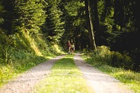 A rear shot of a woman wearing a rucksack walking with her daughter down a gravel track in the Black Forest. Original public domain image from <a href="https://commons.wikimedia.org/wiki/File:A_black_forest_walk_(Unsplash).jpg" target="_blank" rel="noopener noreferrer nofollow">Wikimedia Commons</a>