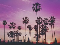 Evening sunset and purple sky, tropical background. Original public domain image from Wikimedia Commons