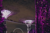 Super tree grive, Gardens by the Bay, Singapore. Original public domain image from Wikimedia Commons