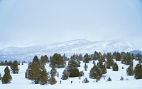 A drone shot of a spaced out forest of snow covered trees with a ski mountain in the background. Original public domain image from <a href="https://commons.wikimedia.org/wiki/File:Forest_near_ski_hill_(Unsplash).jpg" target="_blank" rel="noopener noreferrer nofollow">Wikimedia Commons</a>
