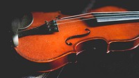 A close-up of a violin covered with dust. Original public domain image from Wikimedia Commons