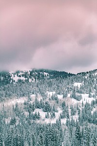 Solitude Nordic Center, United States. Original public domain image from Wikimedia Commons