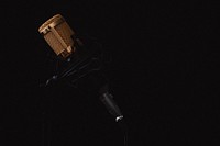 Professional microphone against a black background. Original public domain image from Wikimedia Commons