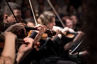 Musicians playing string instruments in orchestra, Oradea, Romania - 13 June 2016