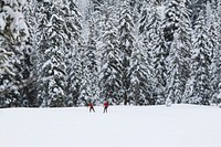 Solitude Nordic Center, Solitude, United States. Original public domain image from Wikimedia Commons