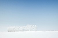 Snow covered landscape. Original public domain image from Wikimedia Commons