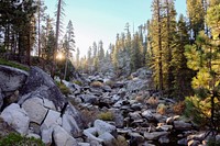 Giant rocks down the side of a mountain and pine trees in Yosemite National Park. Original public domain image from Wikimedia Commons