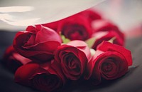 Red roses closeup photography. Original public domain image from Wikimedia Commons