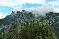 Tall coniferous trees at the foot of a mountain ridge in Banff. Original public domain image from Wikimedia Commons