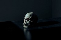White and black skull figurine on black surface photo. Original public domain image from Wikimedia Commons