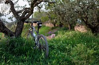 A mountain bike leaning on a tree in a grassy area in San Pietro in Cariano. Original public domain image from Wikimedia Commons