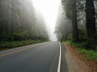 Del Norte Coast Redwoods State Park, Crescent City, United States. Original public domain image from Wikimedia Commons