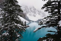 An evergreen setting around the blue water of Lake Louise in Alberta. Original public domain image from Wikimedia Commons