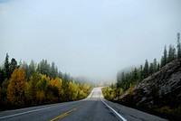 Empty road lines with fall trees in Jasper National Park. Original public domain image from Wikimedia Commons
