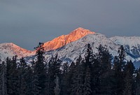 View on forest treeline, with snowcapped mountains in the background, one peak orange from the sun in Jasper National Park, Canada. Original public domain image from Wikimedia Commons