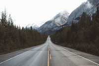 An empty tree-lined road near snow-topped mountain peaks. Original public domain image from Wikimedia Commons