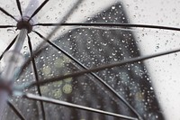 Looking up through a transparent umbrella during a rainy day in Liverpool.. Original public domain image from Wikimedia Commons