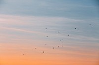 Kawaii sunset sky, aesthetic background. Original public domain image from <a href="https://commons.wikimedia.org/wiki/File:D%C3%BCsseldorf,_Germany_(Unsplash_UQaht0LBiYc).jpg" target="_blank">Wikimedia Commons</a>