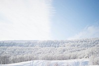 Snow sits below a white forest in the winter. Original public domain image from <a href="https://commons.wikimedia.org/wiki/File:White_forest_(Unsplash).jpg" target="_blank" rel="noopener noreferrer nofollow">Wikimedia Commons</a>