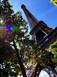 An angled shot looking up at the Eiffel Tower with a tree in the foreground. Original public domain image from Wikimedia Commons