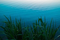 Calm lake water. Original public domain image from Wikimedia Commons