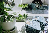 Pairs of folded jeans and a potted plant behind a window. Original public domain image from Wikimedia Commons