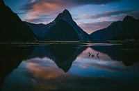 Lake in Milford Sound, New Zealand. Original public domain image from Wikimedia Commons
