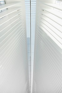 Symmetric white architecture in the shape of window shutters. Original public domain image from <a href="https://commons.wikimedia.org/wiki/File:Seamless_simplicity_(Unsplash).jpg" target="_blank" rel="noopener noreferrer nofollow">Wikimedia Commons</a>