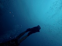 Underwater view of air bubbles and diver`s legs while diving at Panama City Beach. Original public domain image from Wikimedia Commons