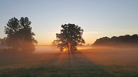 Sun beams shine through trees in a foggy countryside pasture. Original public domain image from <a href="https://commons.wikimedia.org/wiki/File:Dawn_In_The_Country_(Unsplash).jpg" target="_blank" rel="noopener noreferrer nofollow">Wikimedia Commons</a>