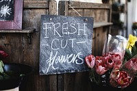 A blackboard reading “fresh cut flowers” next to a bucket of tulips. Original public domain image from Wikimedia Commons