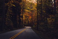A turn in a tree-lined road in the Great Smoky Mountains in autumn. Original public domain image from Wikimedia Commons