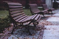 Benches in a park. Original public domain image from Wikimedia Commons