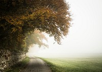 Cumbria, United Kingdom. Original public domain image from Wikimedia Commons