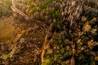 A breathtaking aerial view of a colorful forest with a small stream. Original public domain image from Wikimedia Commons