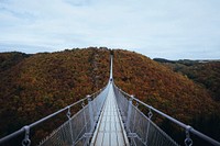 A long view of a suspension bridge in Geierlay. Original public domain image from <a href="https://commons.wikimedia.org/wiki/File:Geierlay_suspension_bridge_(Unsplash).jpg" target="_blank" rel="noopener noreferrer nofollow">Wikimedia Commons</a>