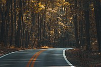 A curve in a road through a forest in the autumn. Original public domain image from <a href="https://commons.wikimedia.org/wiki/File:The_Road_(Unsplash).jpg" target="_blank" rel="noopener noreferrer nofollow">Wikimedia Commons</a>