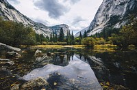 Small branchlets, leaves and rocks on the surface of a mountain lake. Original public domain image from Wikimedia Commons