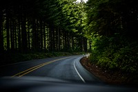 Curve road to a forest. Original public domain image from Wikimedia Commons