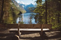 Woodbench in the forest with lake view. Original public domain image from Wikimedia Commons