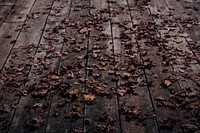 A wooden deck covered in curled-up autumn leaves. Original public domain image from Wikimedia Commons