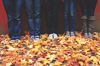 People standing in a line on a ground filled with autumn leaves in Crabtree. Original public domain image from <a href="https://commons.wikimedia.org/wiki/File:Standing_in_autumn_leaves_(Unsplash).jpg" target="_blank" rel="noopener noreferrer nofollow">Wikimedia Commons</a>