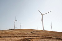 A wind farm in Cádiz surrounded by golden fields. Original public domain image from Wikimedia Commons