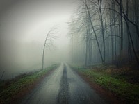A moody road in a foggy, damp forest. Original public domain image from Wikimedia Commons