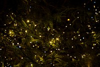 A Christmas tree with fairy lights on it in Ilkley. Original public domain image from Wikimedia Commons