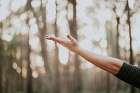 A person stretching out their arm and hand in the forest in Julington Durbin Creek Preserve. Original public domain image from Wikimedia Commons