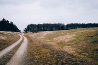 A dirt path in a rural area near a forest in Bavaria. Original public domain image from Wikimedia Commons