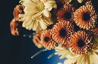 Yellow flowers. Original public domain image from Wikimedia Commons