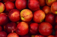 Red apple background. Original public domain image from Wikimedia Commons